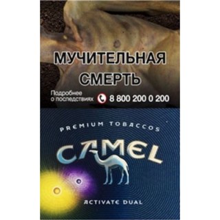 Camel Activate Dual